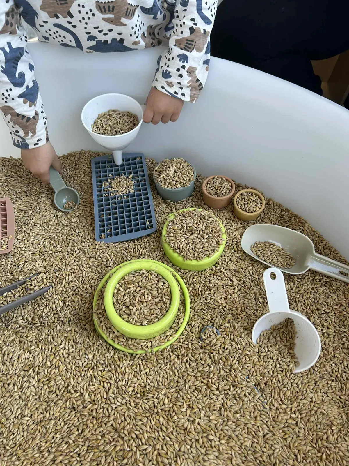 Loose-parts provocation laid out in the PlayTray